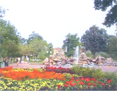 ��ƺ����