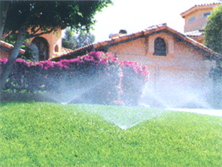 ����ϵ��