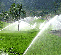 ����ϵ��