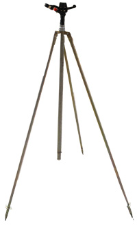 ����֧��