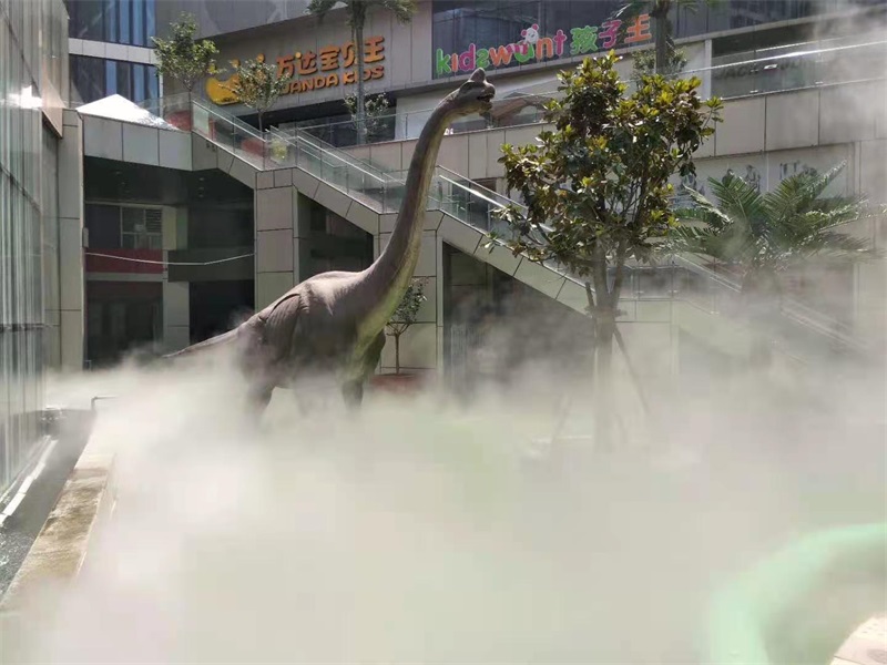 �����F����